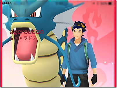 17poke1.jpg