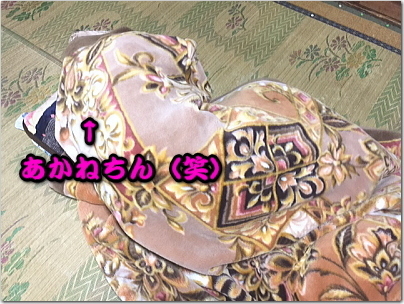 akasotu10.jpg
