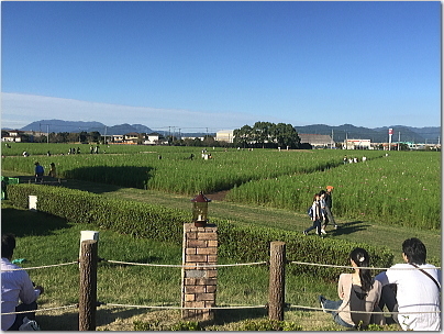 kirin4.jpg