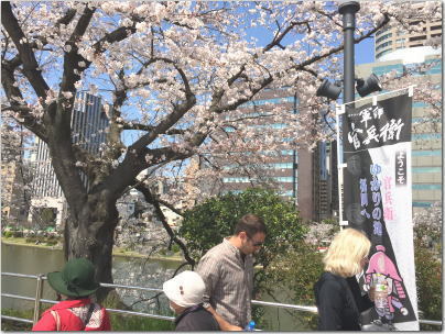 maiduru6.jpg