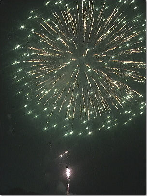 nogaha9.jpg
