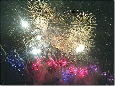 nogahanabi10.jpg