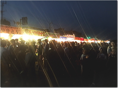 nogahanabi2.jpg