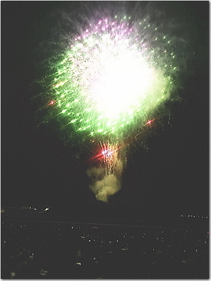 nogahanabi3.jpg