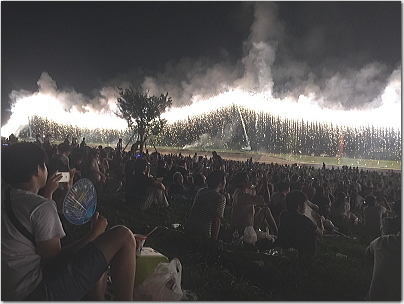 nogahanabi5.jpg