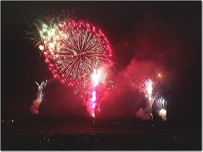 nogahanabi8.jpg