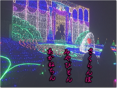 ooiru3.jpg