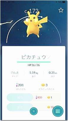 pikapika1.jpg