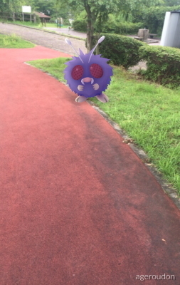 pokemogo2.jpg