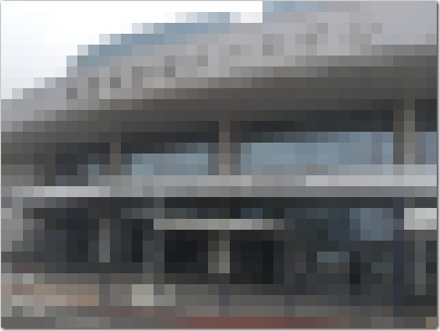 pura1.jpg