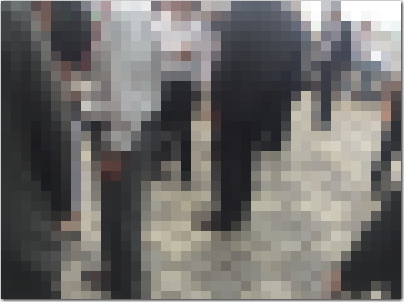 pura4.jpg