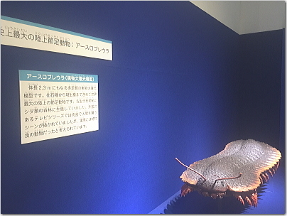 tobatai63.jpg