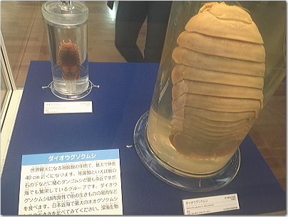 tobatai67.jpg