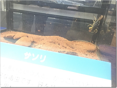 tobatai69.jpg